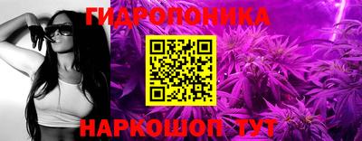 spice Пенза