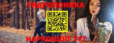 тгк Партизанск