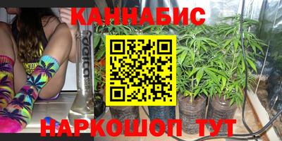 spice Пенза