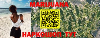 тгк Партизанск